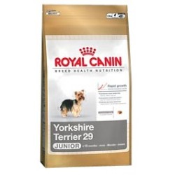 Yorkshire Terrier 29 Junior 0,5 kg Royal Canin