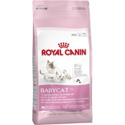 Babycat 34 400 g Royal Canin