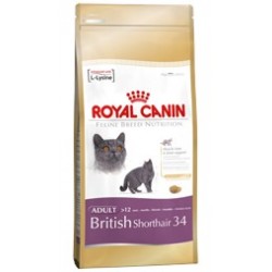 British Shorthair 34 400 g Royal Canin