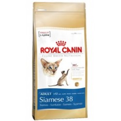 Siamese 38 400 g Royal Canin